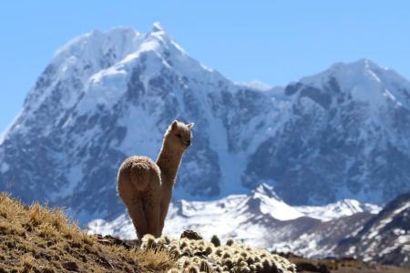 Ausangate And Sibinacocha Lake Trek 7 Days